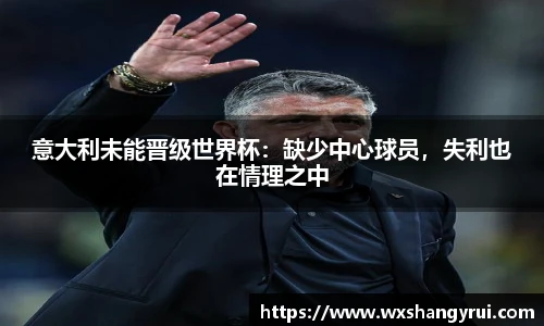 意大利未能晋级世界杯：缺少中心球员，失利也在情理之中